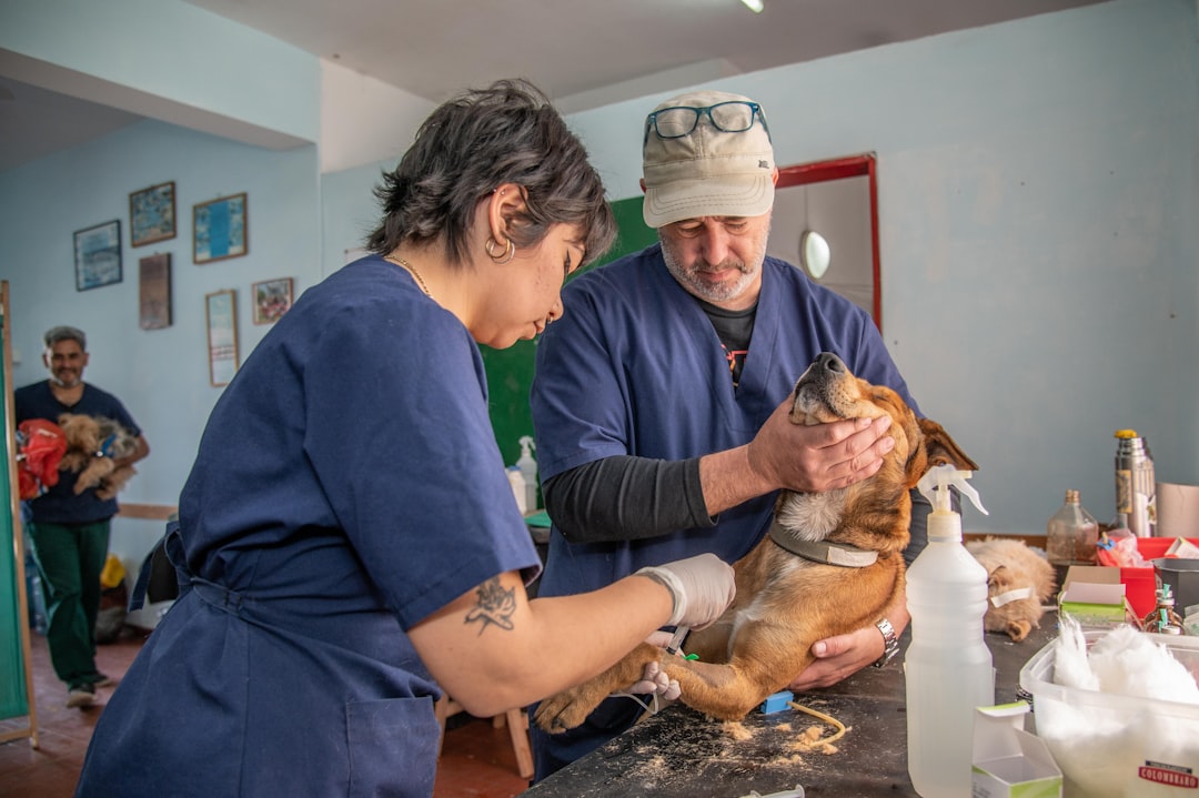Tierarztpraxis wirtschaftlich führen: Zukunftsfähig bleiben